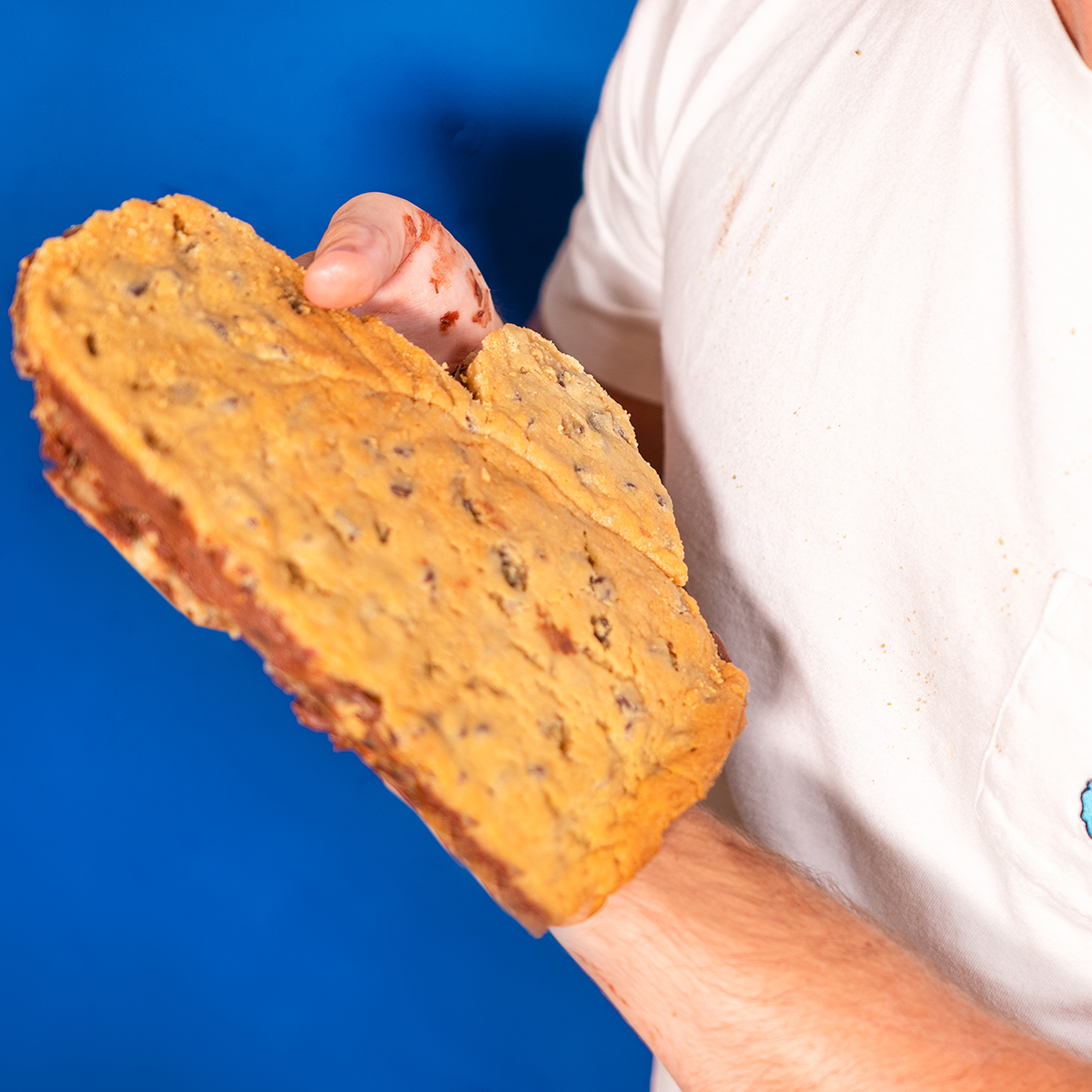 CookieMitts-2 small CookieMitts-2 small