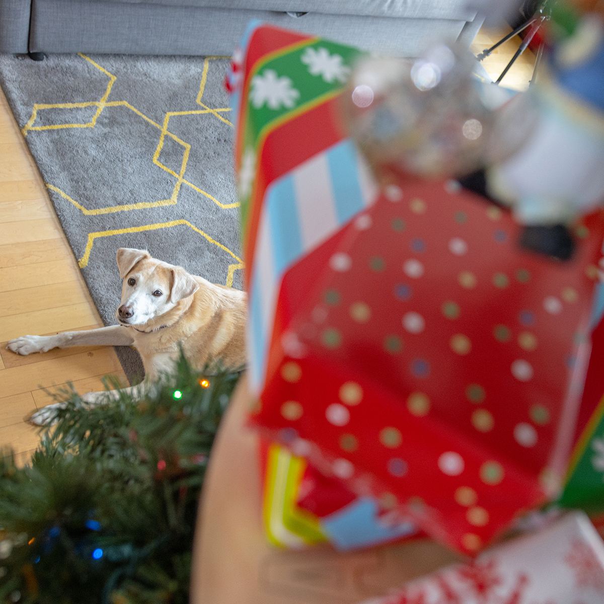 Santa's Safety Shelf - Unnecessary Inventions Santa's Safety Shelf - Unnecessary Inventions